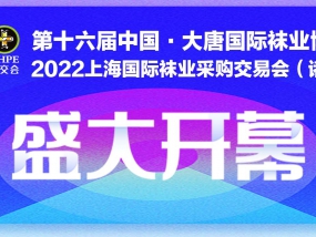 奏响行业复苏号角，第十六届大唐国际袜博会今日盛大开幕